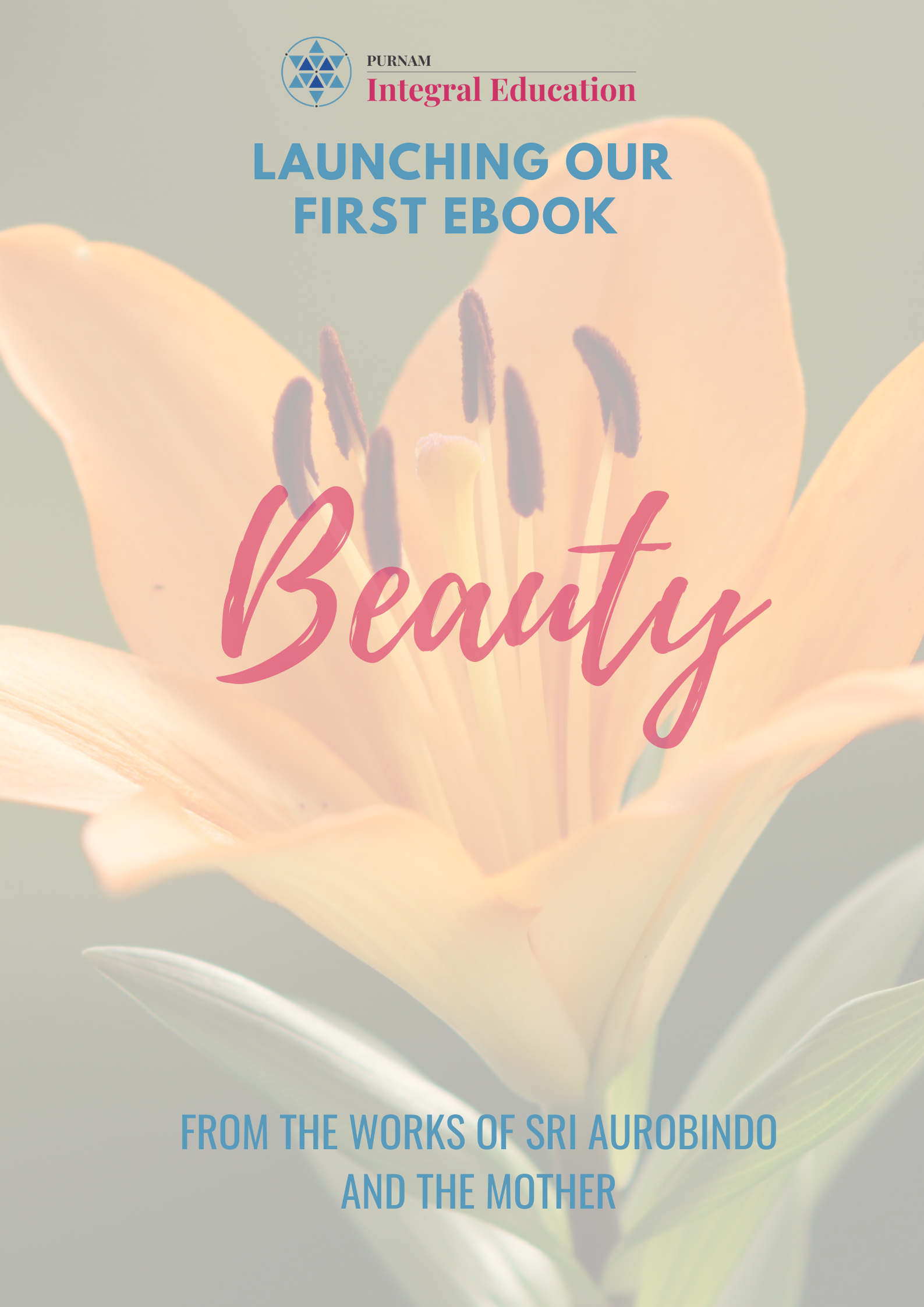 Launching our First eBook on Beauty